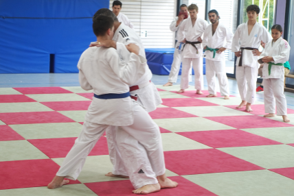 https://www.vfl-waiblingen.de/content/igal/judo3-9HBXS5-L-3398.png